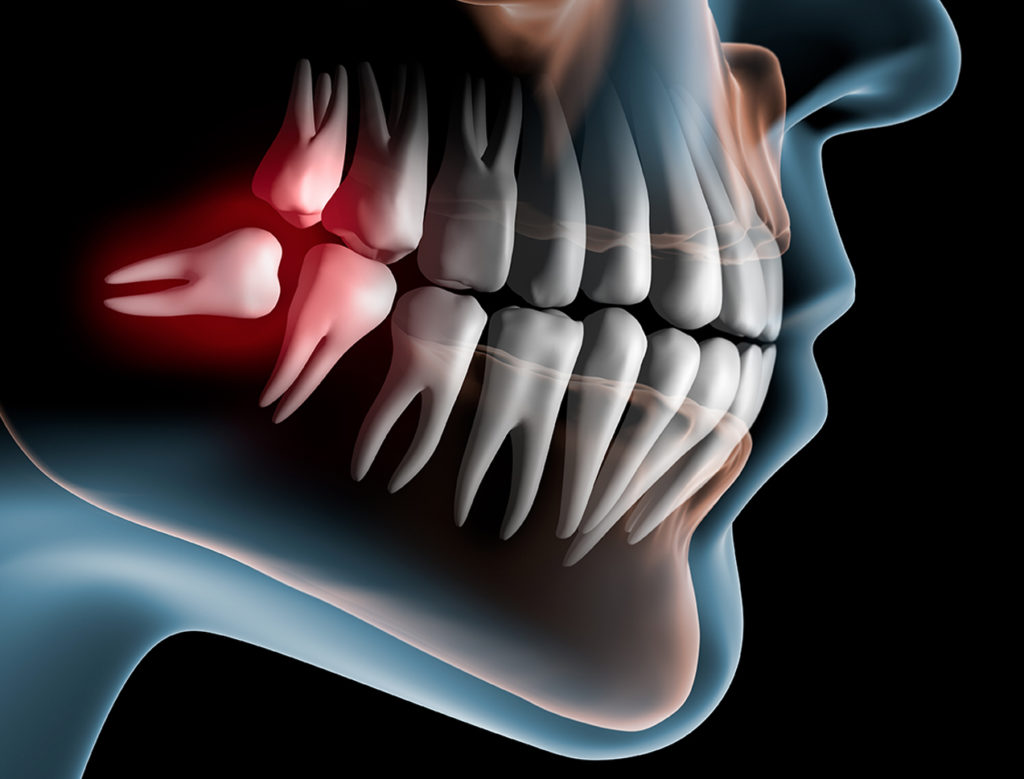 Oral-Maxillofacial - Envision Capital Group